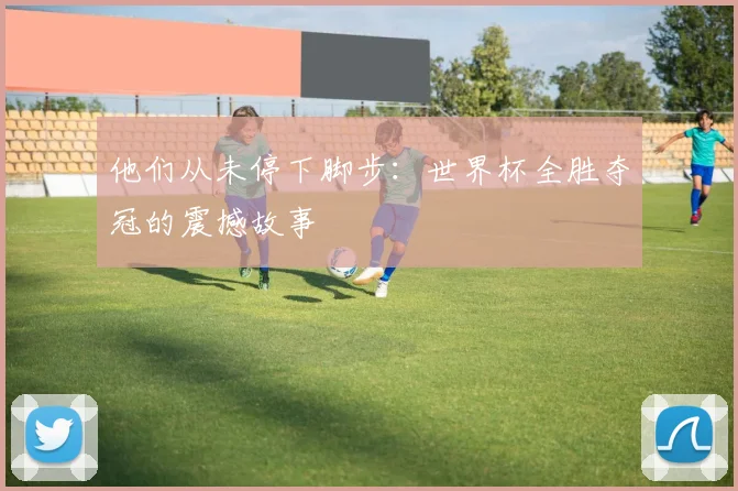 他们从未停下脚步：世界杯全胜夺冠的震撼故事