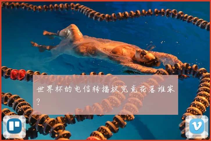 世界杯的电信转播权究竟花落谁家?