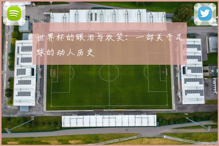 世界杯的眼泪与欢笑:一部关于足球的动人历史