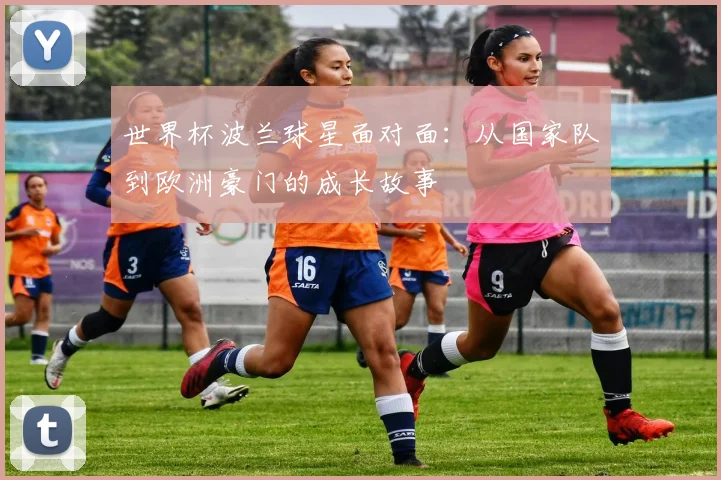 世界杯波兰球星面对面：从国家队到欧洲豪门的成长故事