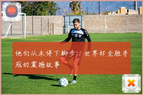 他们从未停下脚步：世界杯全胜夺冠的震撼故事