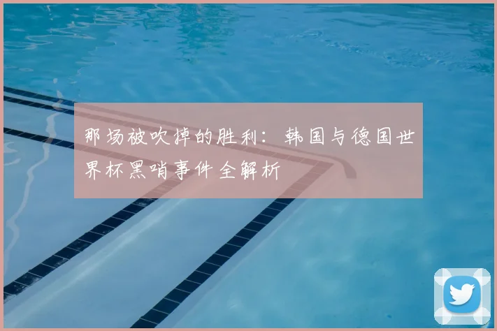 那场被吹掉的胜利:韩国与德国世界杯黑哨事件全解析