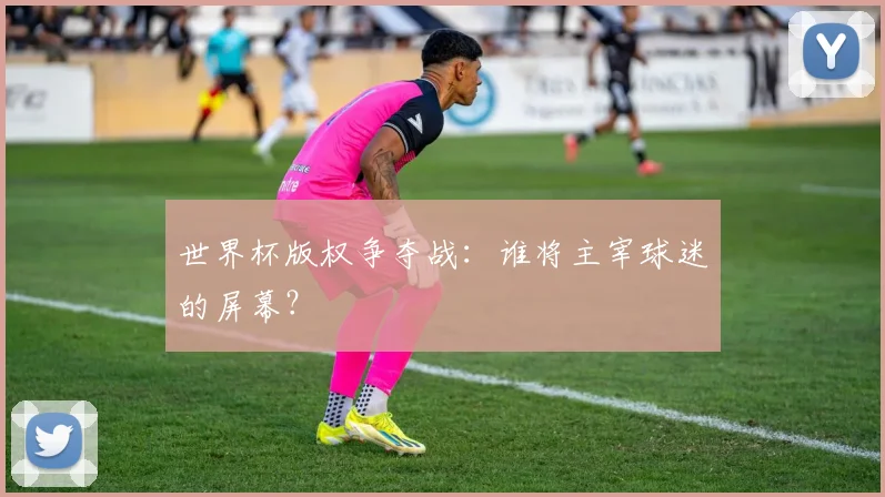 世界杯版权争夺战：谁将主宰球迷的屏幕？