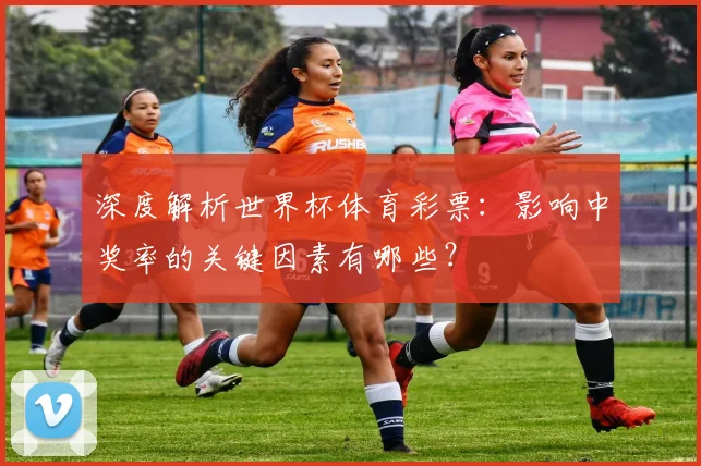 深度解析世界杯体育彩票：影响中奖率的关键因素有哪些？