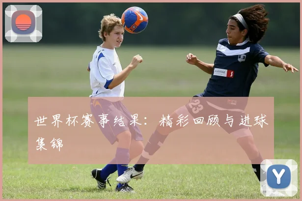 世界杯赛事结果：精彩回顾与进球集锦